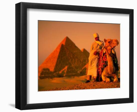 Camel and Driver Resting near the Great Pyramids, Egypt-Alexander Nesbitt-Framed Photographic Print