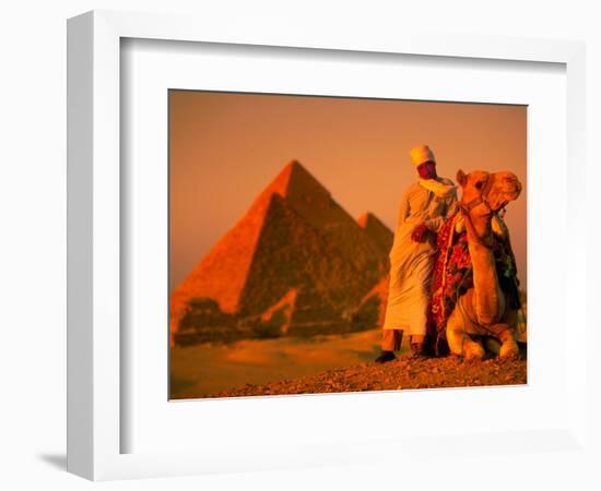 Camel and Driver Resting near the Great Pyramids, Egypt-Alexander Nesbitt-Framed Photographic Print