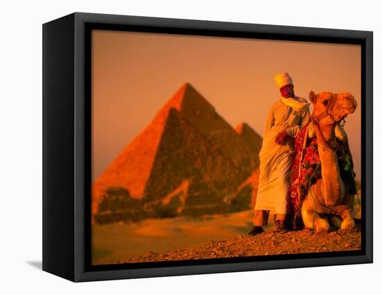 Camel and Driver Resting near the Great Pyramids, Egypt-Alexander Nesbitt-Framed Stretched Canvas