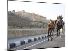 Camel and Elephant Walking Past Amber Fort, Amber, Rajasthan, India, Asia-Annie Owen-Mounted Photographic Print