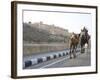 Camel and Elephant Walking Past Amber Fort, Amber, Rajasthan, India, Asia-Annie Owen-Framed Photographic Print