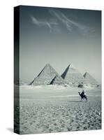 Camel and Giza Pyramids, Giza, Cairo, Egypt-Jon Arnold-Stretched Canvas