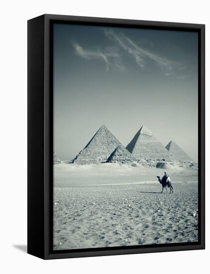 Camel and Giza Pyramids, Giza, Cairo, Egypt-Jon Arnold-Framed Stretched Canvas