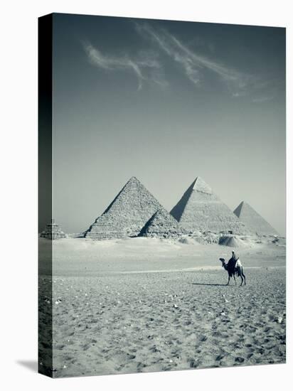 Camel and Giza Pyramids, Giza, Cairo, Egypt-Jon Arnold-Stretched Canvas