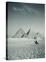 Camel and Giza Pyramids, Giza, Cairo, Egypt-Jon Arnold-Stretched Canvas