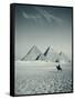 Camel and Giza Pyramids, Giza, Cairo, Egypt-Jon Arnold-Framed Stretched Canvas