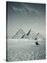 Camel and Giza Pyramids, Giza, Cairo, Egypt-Jon Arnold-Stretched Canvas