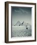 Camel and Giza Pyramids, Giza, Cairo, Egypt-Jon Arnold-Framed Photographic Print