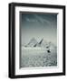 Camel and Giza Pyramids, Giza, Cairo, Egypt-Jon Arnold-Framed Photographic Print