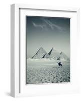 Camel and Giza Pyramids, Giza, Cairo, Egypt-Jon Arnold-Framed Photographic Print