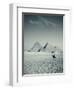 Camel and Giza Pyramids, Giza, Cairo, Egypt-Jon Arnold-Framed Photographic Print