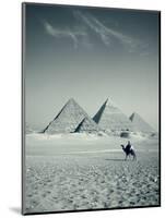 Camel and Giza Pyramids, Giza, Cairo, Egypt-Jon Arnold-Mounted Photographic Print