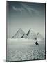 Camel and Giza Pyramids, Giza, Cairo, Egypt-Jon Arnold-Mounted Photographic Print