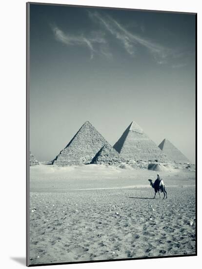 Camel and Giza Pyramids, Giza, Cairo, Egypt-Jon Arnold-Mounted Photographic Print