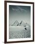 Camel and Giza Pyramids, Giza, Cairo, Egypt-Jon Arnold-Framed Photographic Print