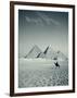 Camel and Giza Pyramids, Giza, Cairo, Egypt-Jon Arnold-Framed Photographic Print