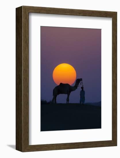 Camel and person at sunset, Thar Desert, Rajasthan, India-Art Wolfe-Framed Photographic Print