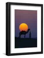 Camel and person at sunset, Thar Desert, Rajasthan, India-Art Wolfe-Framed Photographic Print