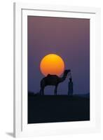 Camel and person at sunset, Thar Desert, Rajasthan, India-Art Wolfe-Framed Photographic Print
