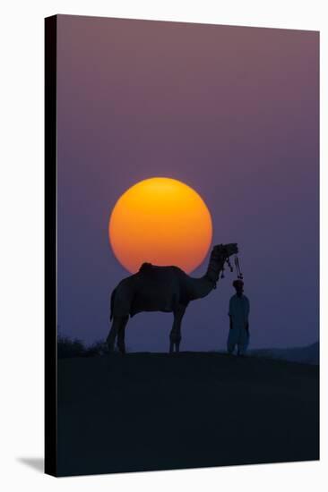 Camel and person at sunset, Thar Desert, Rajasthan, India-Art Wolfe-Stretched Canvas