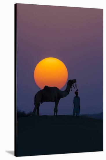 Camel and person at sunset, Thar Desert, Rajasthan, India-Art Wolfe-Stretched Canvas