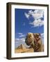 Camel and Pyramids Of Giza, Egypt-Adam Jones-Framed Photographic Print