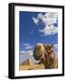 Camel and Pyramids Of Giza, Egypt-Adam Jones-Framed Photographic Print