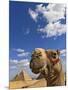 Camel and Pyramids Of Giza, Egypt-Adam Jones-Mounted Photographic Print