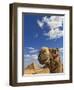 Camel and Pyramids Of Giza, Egypt-Adam Jones-Framed Photographic Print