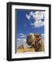 Camel and Pyramids Of Giza, Egypt-Adam Jones-Framed Photographic Print