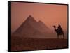 Camel and Rider at Giza Pyramids, UNESCO World Heritage Site, Giza, Cairo, Egypt-Howell Michael-Framed Stretched Canvas