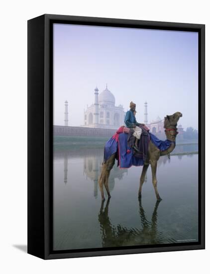 Camel and Rider in Front of the Taj Mahal and Yamuna River, Taj Mahal, Uttar Pradesh State, India-Gavin Hellier-Framed Stretched Canvas