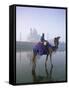 Camel and Rider in Front of the Taj Mahal and Yamuna River, Taj Mahal, Uttar Pradesh State, India-Gavin Hellier-Framed Stretched Canvas