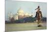 Camel And Taj Mahal-Charles Bowman-Mounted Photographic Print