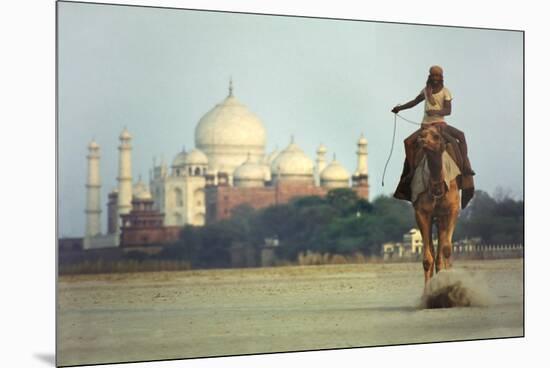 Camel And Taj Mahal-Charles Bowman-Mounted Premium Photographic Print