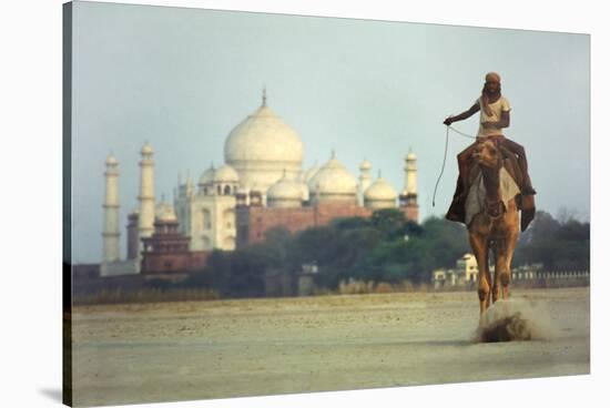 Camel And Taj Mahal-Charles Bowman-Stretched Canvas