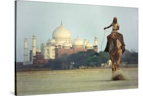 Camel And Taj Mahal-Charles Bowman-Stretched Canvas