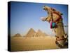 Camel at the Pyramids, Giza, Cairo, Egypt-Doug Pearson-Stretched Canvas