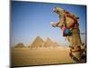 Camel at the Pyramids, Giza, Cairo, Egypt-Doug Pearson-Mounted Photographic Print