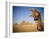 Camel at the Pyramids, Giza, Cairo, Egypt-Doug Pearson-Framed Photographic Print