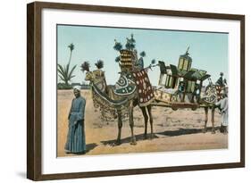 Camel-Borne Wedding Litter-null-Framed Art Print