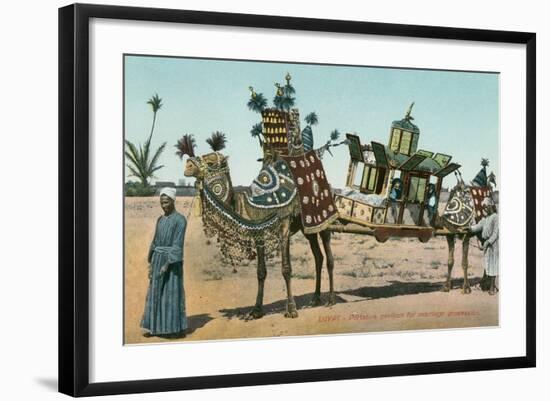 Camel-Borne Wedding Litter-null-Framed Art Print