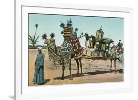 Camel-Borne Wedding Litter-null-Framed Art Print