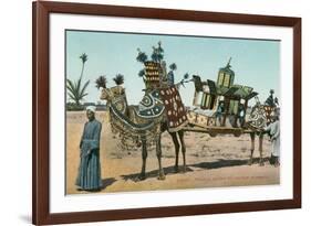 Camel-Borne Wedding Litter-null-Framed Art Print