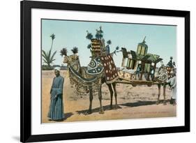 Camel-Borne Wedding Litter-null-Framed Art Print