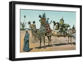 Camel-Borne Wedding Litter-null-Framed Art Print