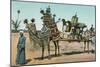 Camel-Borne Wedding Litter-null-Mounted Art Print