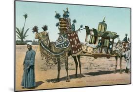Camel-Borne Wedding Litter-null-Mounted Art Print