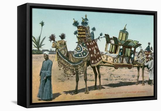 Camel-Borne Wedding Litter-null-Framed Stretched Canvas