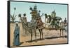 Camel-Borne Wedding Litter-null-Framed Stretched Canvas